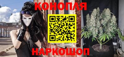 прущие грибы Обь